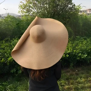 Chapeau de plage à large bord