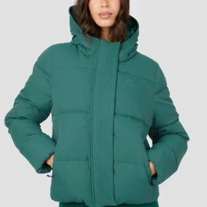 Alta Via Jacket - Winter Pine